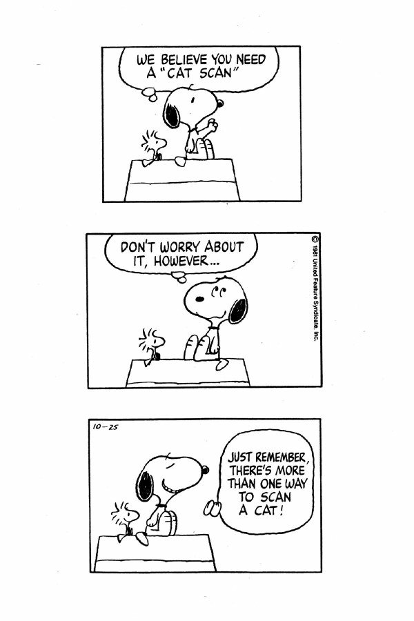 page 90 of snoopy the great entertainer