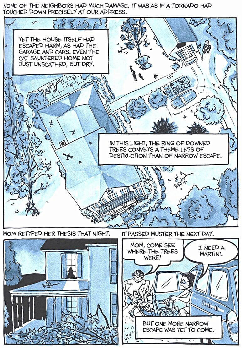 page 171 of fun home a family tragicomic graphic novel