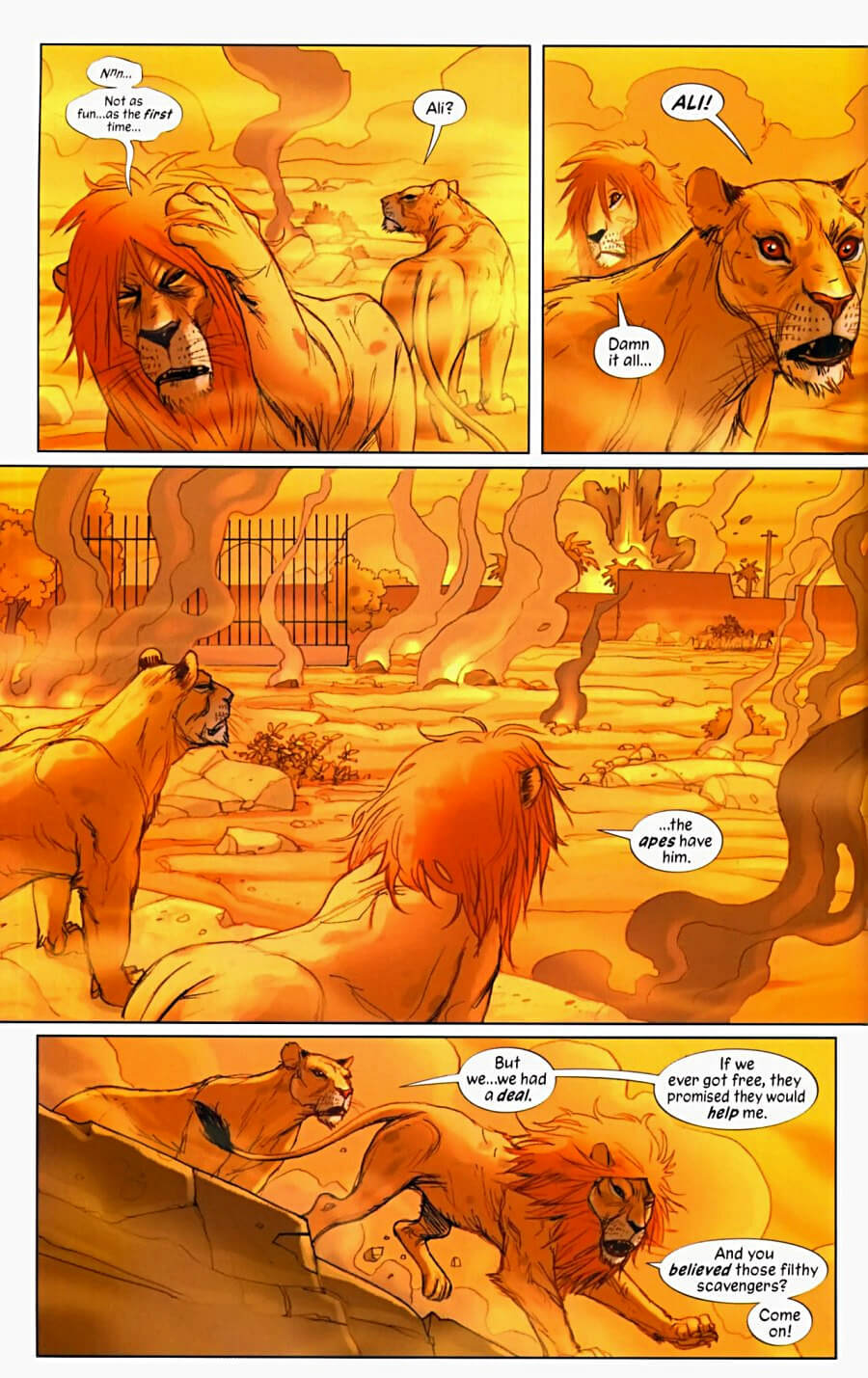 page 31 of pride of baghdad graphic novel